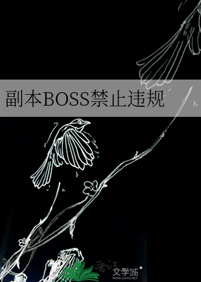 副本BOSS禁止违规
